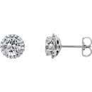 White Diamond Earrings in 14 Karat White Gold 3/8 Carat Diamond Earrings