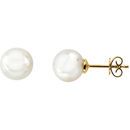 14 KT Yellow Gold 14mm Full Button South Sea Cultured Fashion Pearl Earrings