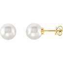14 KT Yellow Gold 14mm Near Round Low Price on South Sea Pearl Earrings