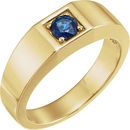 Genuine Sapphire Ring in 14 Karat Yellow Gold Sapphire Men's Ring