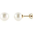 18 KT Yellow 10mm Round South Sea Pearl Earrings