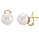 18 KT Yellow 13mm South Sea Cultured Pearl Earrings