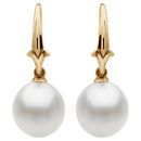 18 KT Yellow South Sea Cultured Pearl Earrings