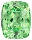 Mint Green Garnet Genuine Gemstone, 4.61 carats, Cushion Cut, 10.6 x 8.4  mm , Gemmy Low Cost Stone