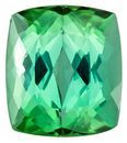 Loose Green Tourmaline Gemstone, 5.61 carats, Cushion Cut, 10.7 x 9.4 mm, Must See This Gem