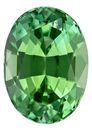 Authentic Green Tourmaline Gemstone, Oval Cut, 1.63 carats, 8.1 x 5.9 mm , AfricaGems Certified - A Magnificent Gem
