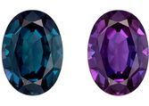 Beautiful Change Alexandrite Loose Gemstone, 1.05 carats in Oval Cut, 7.86 x 5.63 x 3.16 mm, Striking Color with Gubelin Certificate