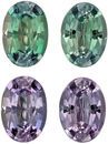 Must See Alexandrite Well Matched Gem Pair in Oval Cut, 1.11 carats, Light Teal to Eggplant, 5.9 x 4.2 mm