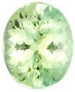Faceted Green Tourmaline Gemstone, Oval Cut, 2.77 carats, 10.4 x 8.4 mm , AfricaGems Certified - A Great Buy