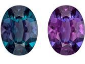 Fine Gem Gubelin Cert. Alexandrite Loose Gemstone, 1.54 carats in Oval Cut, 8.92 x 6.54 x 3.6 mm, Perfect Size for Ring