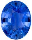 Genuine Blue Sapphire Oval Shaped Gemstone, 3.21 carats, 10.1 x 8.1mm - Great Colored Gem