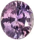 GIA Certified No Heat 9.3 x 8 mm Purple Sapphire Genuine Gemstone in Oval Cut, Multicolor Steel Lavender, Pink & Orange, 3.21 carats