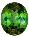 Gorgeous Stone in 11.8 x 9.7 mm Tourmaline Loose Genuine Gemstone in Oval Cut, Medium Green, 4.64 carats
