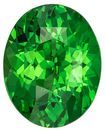 Great Deal on  Green Tsavorite Gemstone, 3.12 carats, Oval Shape, 10 x 7.9 mm, Great Buy on This Stone