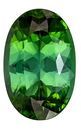 Must See12.3 x 8.6 mm Tourmaline Genuine Gemstone in Oval Cut, Rich Green, 4.37 carats