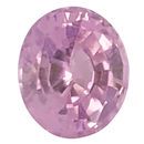 Natural No Treatment Pink Sapphire Gemstone in Oval Cut, 1.04 carats, 6.19 x 5.34 x 3.74 mm Displays Pure Pink Color