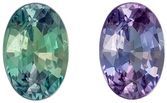 Vibrant Color Alexandrite Gemstone 0.74 carats, Oval Cut, 6.5 x 4.4 mm, with AfricaGems Certificate