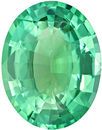 Low Price on  Rare Genuine Loose Blue Green Tourmaline Gemstone in Oval Cut, 4.27 carats, Minty Blue Green, 12.6 x 9.9 mm