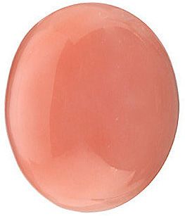 43 Coral rosa 14x10mm Cabochon Oval Echte rosa tiefsee Koralle 