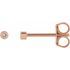 14 Karat Rose Gold .02 Carat Weight Diamond Micro Stud Earrings