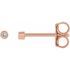 14 Karat Rose Gold .03 Carat Weight Diamond Micro Stud Earrings