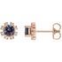 Genuine Alexandrite Earrings in 14 Karat Rose Gold Alexandrite & .07 Carat Diamond Earrings