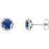 Created Sapphire Earrings in 14 Karat White Gold Chatham Lab-Created Genuine Sapphire & 1/8 Carat Diamond Earrings