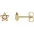 White Diamond Earrings in 14 Karat Yellow Gold 1/10 Carat Diamond Star Earrings