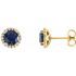 Created Sapphire Earrings in 14 Karat Yellow Gold Chatham Lab-Created Genuine Sapphire & 1/5 Carat Diamond Earrings