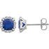 14 Karat White Gold Blue Sapphire & 0.10 Carat Diamond Earrings