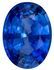 Bargain Blue Sapphire Gem, 1.29 carats Oval Cut in 8 x 5.9 mm size in Stunning Blue Color With AfricaGems Certificate