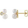 14 Karat Yellow Gold Akoya Cultured Pearl & .125 Carat Weight Diamond Earrings