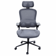 Ergonomic Desk Chair with Flip Up Armrests