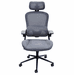 Ergonomic Desk Chair with Flip Up Armrests