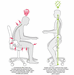 Medical Saddle Stool - 21 to 28 Inch Seat Height