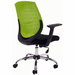 GeoFlex Ergonomic Office Chair