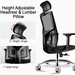 Ultimate Ergonomic Office Chair with 3-Way Adjustable Armrests