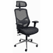 Elastic Mesh Desk Chair with Molded Foam Seat and Headrest