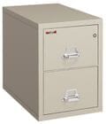 18&quotW x 31&quotD 2-Drawer Fireproof Vertical Letter-Sized File 