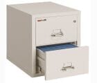 21&quotW x 25&quotD 2-Drawer Fireproof Vertical Legal-Sized File
