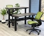 2 Person Electric Lift Desk - 48" x 24" Worksurfaces