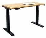 48&quot x 24&quot Solid Hardwood Electric Lift Desk - Other Sizes Available
