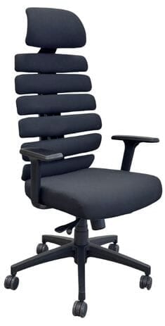 Vertebrex Black Ergonomic Chair with Flexi-Backrest & 3-Way Adjustable Arms