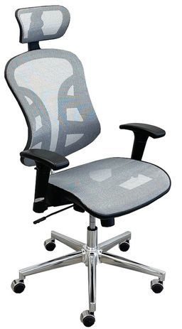 Silver Gray Trendflex Ergonomic Chair