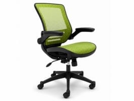 Ergonomic Chairs