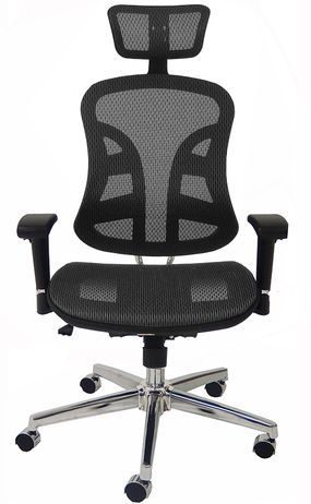 TrendFlex Elastic All-Mesh Ergonomic Chair w/Headrest