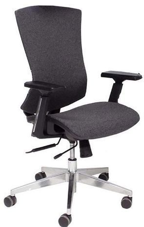 VectorFitt Ergonomic Adjustable Chair w/ Seat Slide