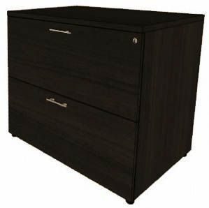 Custom 2-Drawer Lateral File