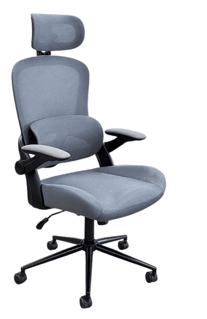 Ergonomic Mesh Chair with Adjustable Lumbar