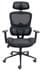 LineaForm Black Ergonomic Mesh Chair with Molded Foam Seat